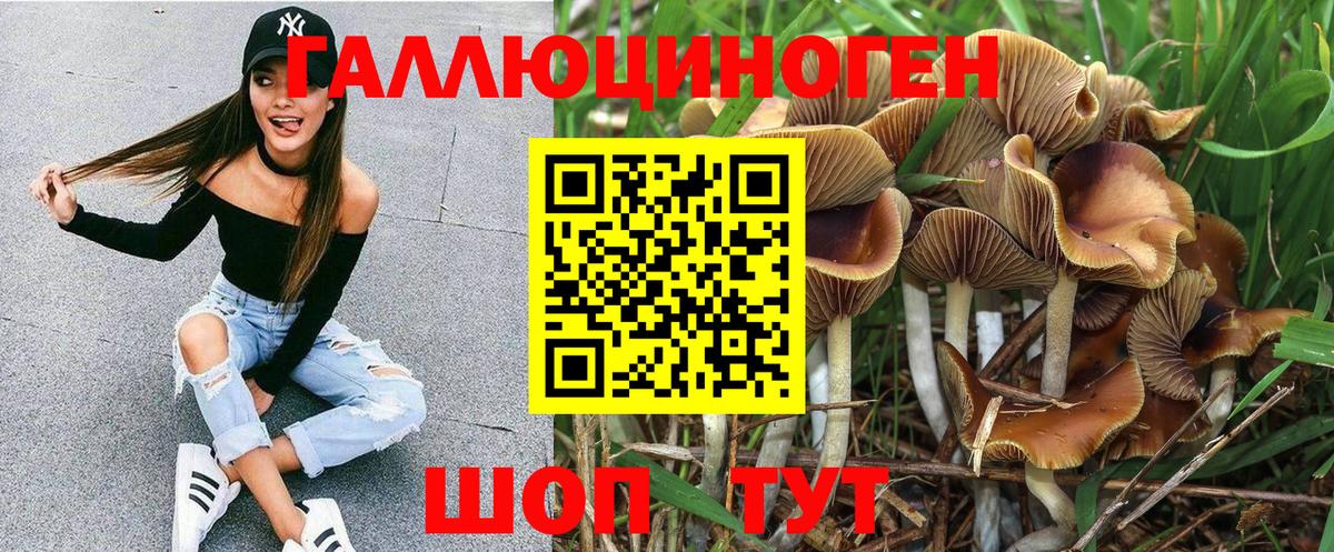 Советский  Галлюциногенные грибы прущие грибы  Псилоцибиновые грибы прущие грибы  Вход с VPN 